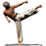 Logo of Taekwondo Forms (Sponsored) android Application 